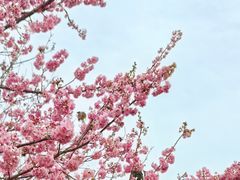 -福建鲤鱼洲酒店