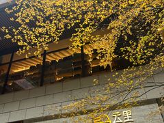 -瑞虹新天地月亮湾