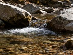 -黑河国家森林公园