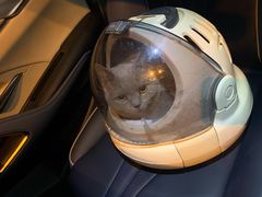 -宠颐生宠物医院·心肾内科·猫专科诊疗中心宠巢店