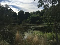 -墨尔本皇家植物园