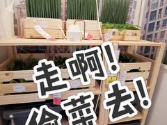 -宜家家居(哈尔滨商场店)