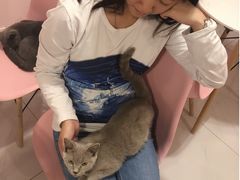 -三花喵·撸猫购宠·宠物生活馆(虹桥南丰城店)