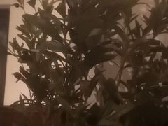 -Catail前苑(前门大街店)