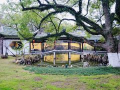 -江心屿景区