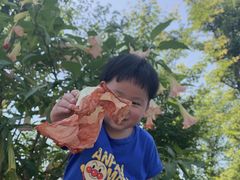 -枫香湖儿童公园