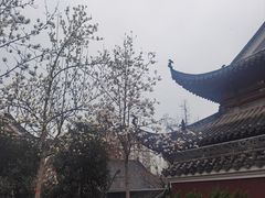 -长春观