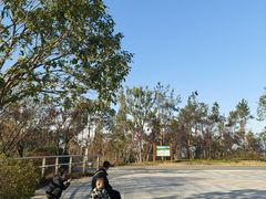 -宝界山林公园