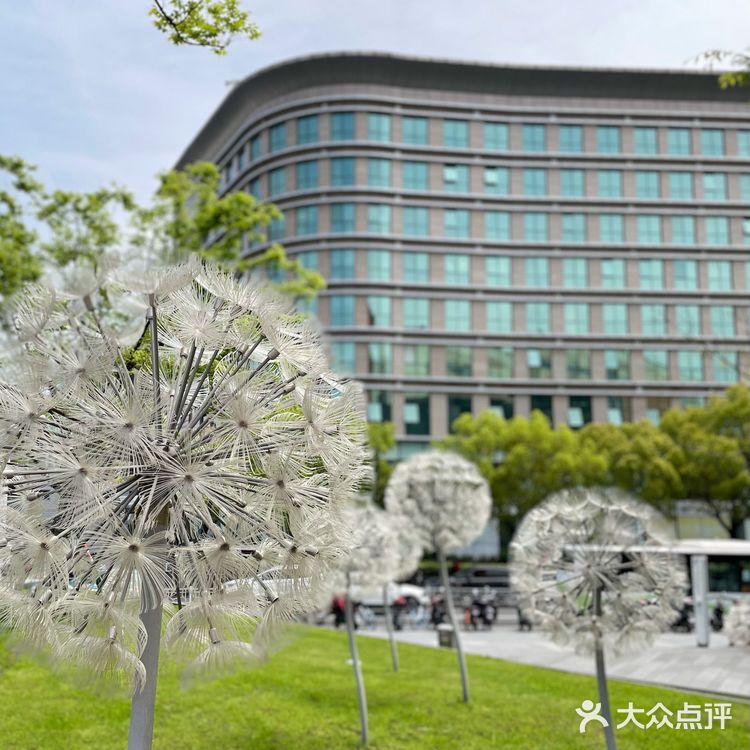 魔都 孤独的美食家｜嘉义喷水火鸡肉饭[强]