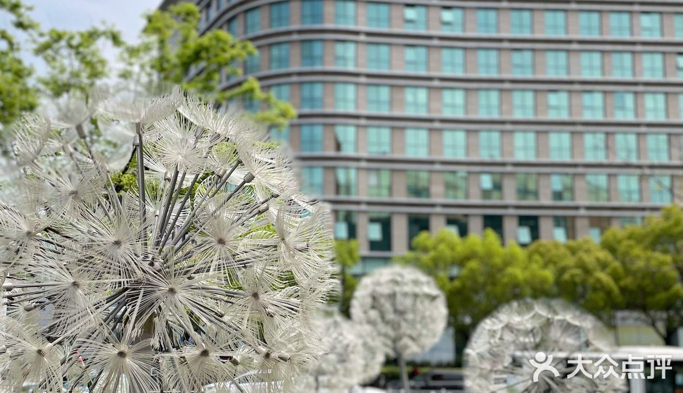 魔都 孤独的美食家｜嘉义喷水火鸡肉饭[强]
