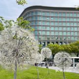 魔都 孤独的美食家｜嘉义喷水火鸡肉饭[强]