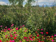 -永定河休闲森林公园