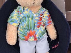 -济州岛泰迪熊博物馆