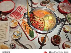-大龙燚·旷野鲜火锅(广州首店)