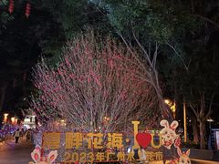 -荔湾湖公园