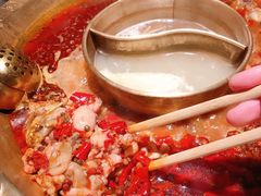 -捞三国美蛙鲜鱼火锅(茂业店)