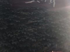 -三只耳火锅(宽窄巷子店)