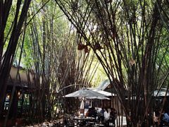 -勐丽梦兰傣味餐厅