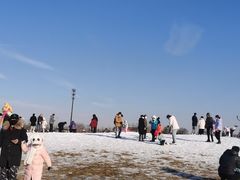 -绿野森林乐园冰雪季