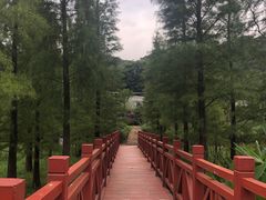 -广州市石门国家森林公园