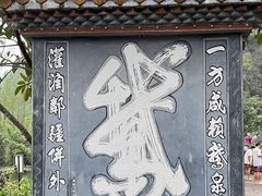 -靖西鹅泉风景区