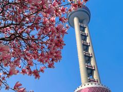 -东方明珠广播电视塔