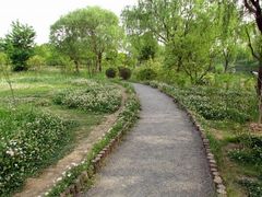 景点-新江湾城公园