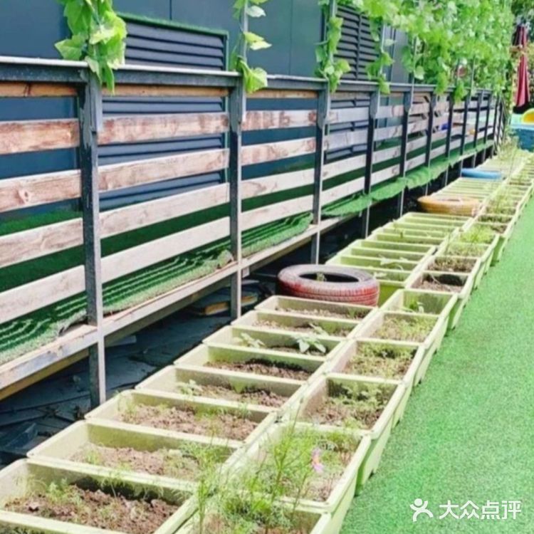 感受温柔一夏