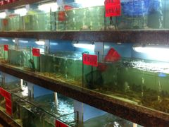 -旺达·福州菜(正大广场店)