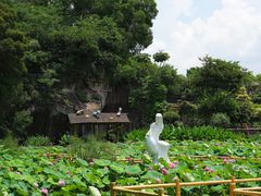-广州莲花山旅游区