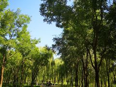 -东郊湿地公园