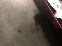 -椒王火锅(厚街万达店)