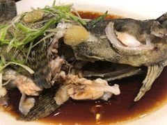 -竹林小屋(库塔店)