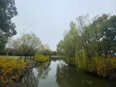 -上海滨江森林公园