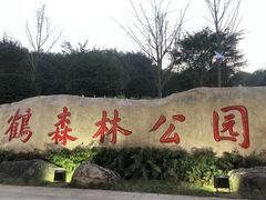 -太极集团重庆涪陵制药厂有限公司