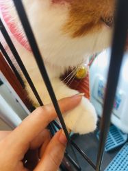 -木北护肤造型