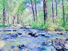 -玉渡山自然风景区