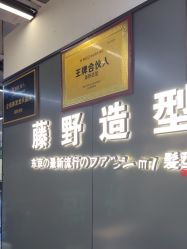 点击看大图 -藤野造型