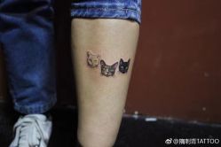 -HGS TATTOO 花果山刺青