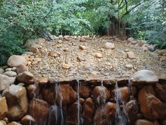 -雁南飞茶田景区