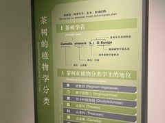 -中国茶叶博物馆(双峰馆区)