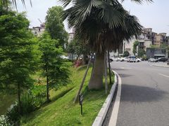 -东岳体育公园