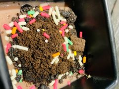 -盛江山自助料理(奥莱锦辉购物广场店)