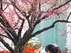 -天鹅湖体育公园