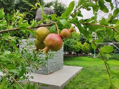 -北工大风味餐厅(北京工业大学东区店)