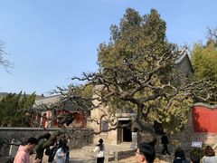 -浮来山风景区