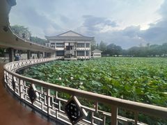 -荔湾湖公园