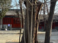 -承恩寺