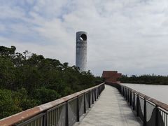 -东寨港红树林旅游区