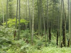 -黄公望隐居地